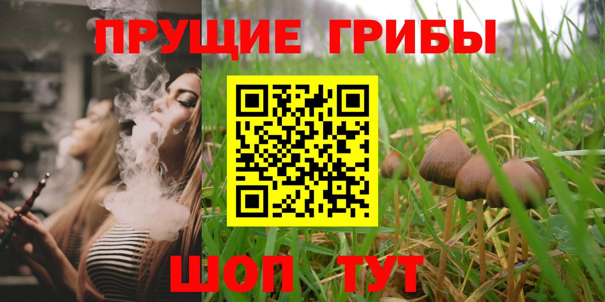 Псилоцибиновые грибы прущие грибы  Галлюциногенные грибы GOLDEN TEACHER  Кунгур  Вход с VPN 